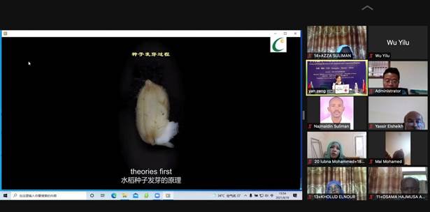 Ծˮ-Rice seeding technology3