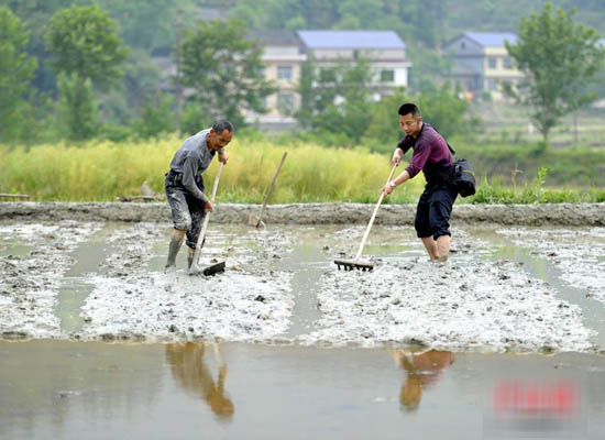 ��־�ԣ���һ���ڵ��������ũ��ƽ����ء�