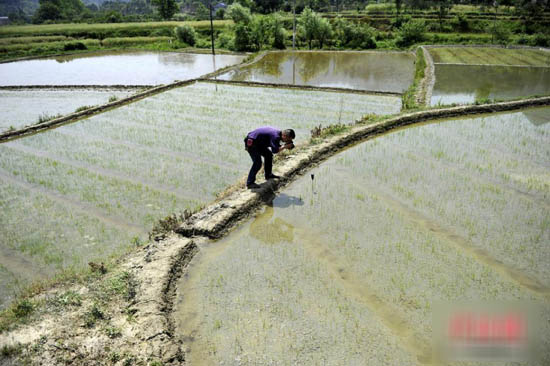 ��־���������¼ˮ��ʾ�������������仯����ֵ��