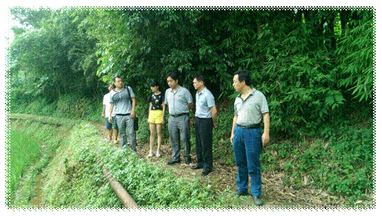 IMAG0099.jpg
