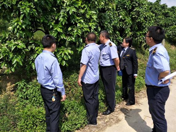 IMG20170505102051