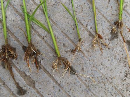 ˵��: C:\Users\ADMINI~1\AppData\Local\Temp\WeChat Files\740439962320923766.jpg