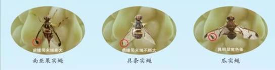 54fd0d932a3fbb57ade5d1d0c39b23a