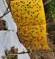 ca296563e766b12cd2d15d3c1c5b056