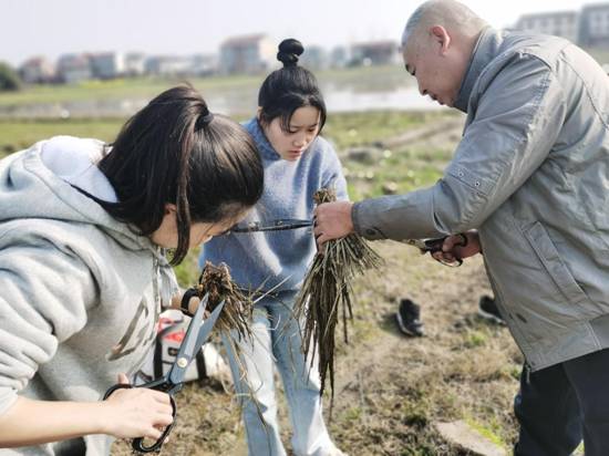 5dfd5412c661bc332122f34f284fcd5