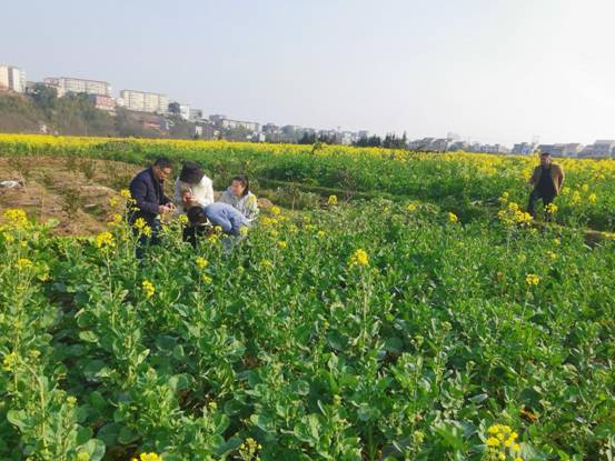 5ecf2ab99bd951202790a5118474615