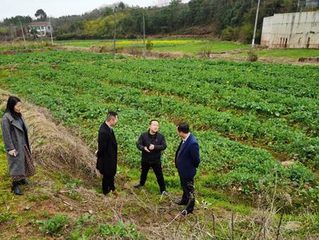 ˵��: F:\�����������ũҵ��\ũ���ƹ�����\1����Ҫ�����ĵ���ֲ����أ�\2022��\����ͼƬ����\20220301-ʡֲ��ֲ��վר����䯵���ָ���Ͳ˲��溦����1.jpg