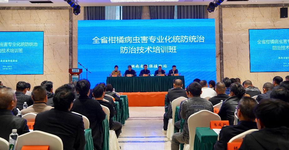 �����ش󲡳溦רҵ��ͳ��ͳ�η��μ�����ѵ������������